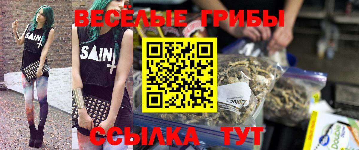 Галлюциногенные грибы прущие грибы  купить наркоту  Вольск  Вход с VPN 