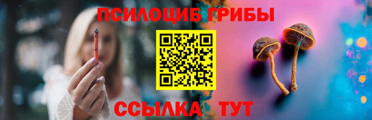Галлюциногенные грибы Psilocybine cubensis Вольск